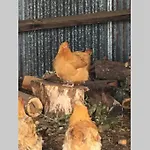 The Bakery Σπίτι διακοπών *