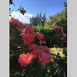 The Bakery Σπίτι διακοπών *