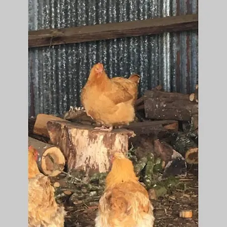 The Bakery Holiday home *