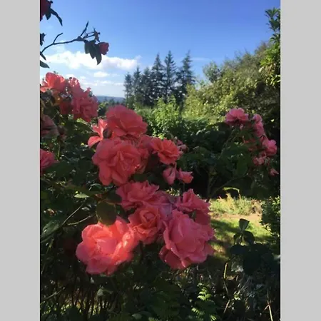 The Bakery Holiday home *