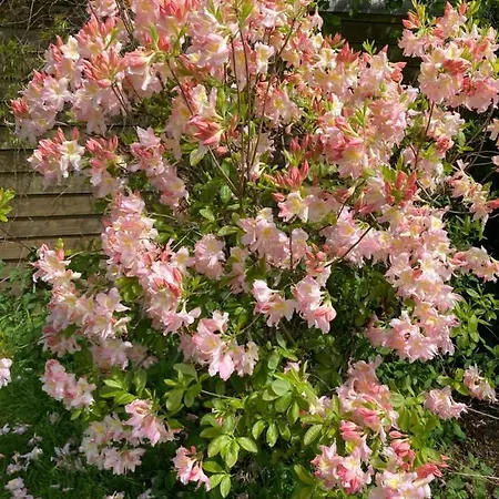 The Bakery Σπίτι διακοπών