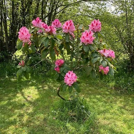 The Bakery Σπίτι διακοπών Beauficel