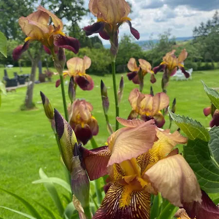 The Bakery * Beauficel