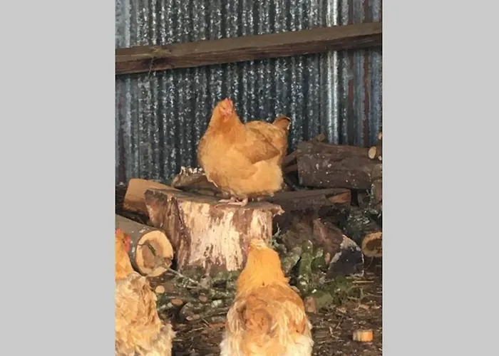 The Bakery Dom wakacyjny *