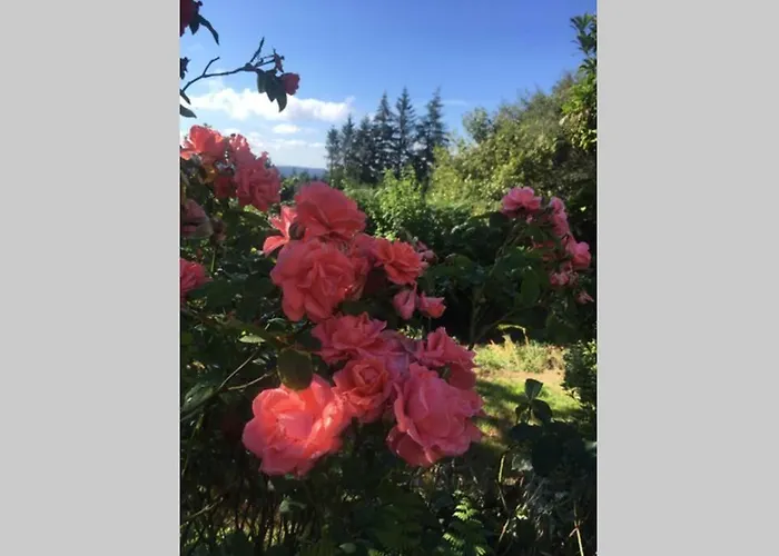 The Bakery Dom wakacyjny *