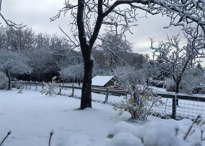 The Bakery Beauficel