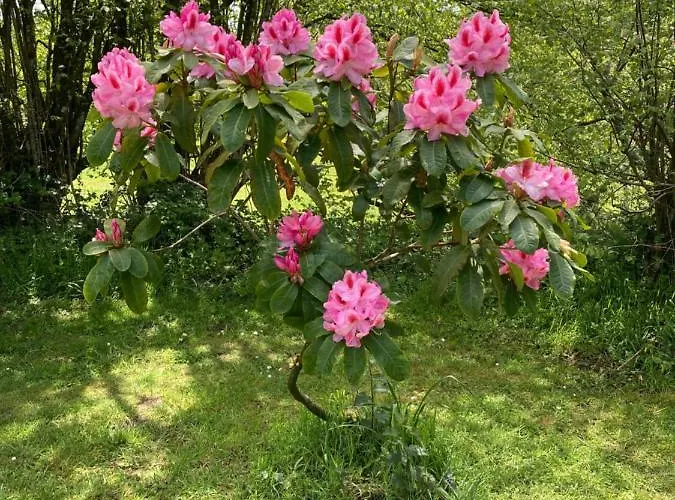 The Bakery Dom wakacyjny Beauficel