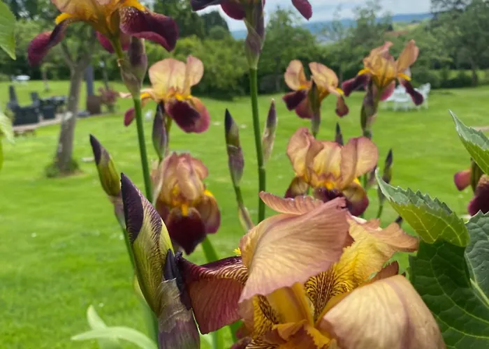 The Bakery * Beauficel